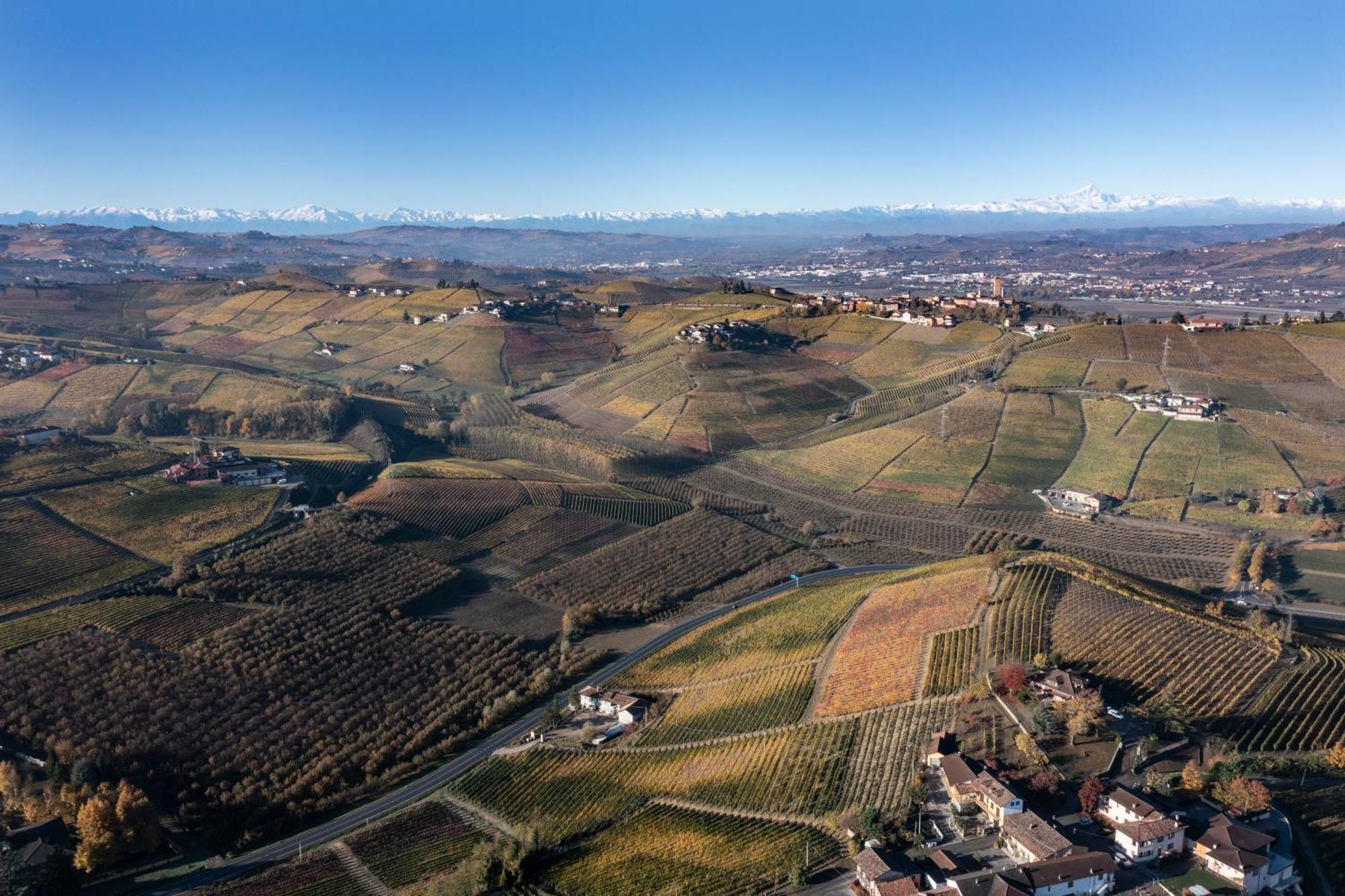 Agriturismo Antichi Poderi Gallina Neive Ngoại thất bức ảnh