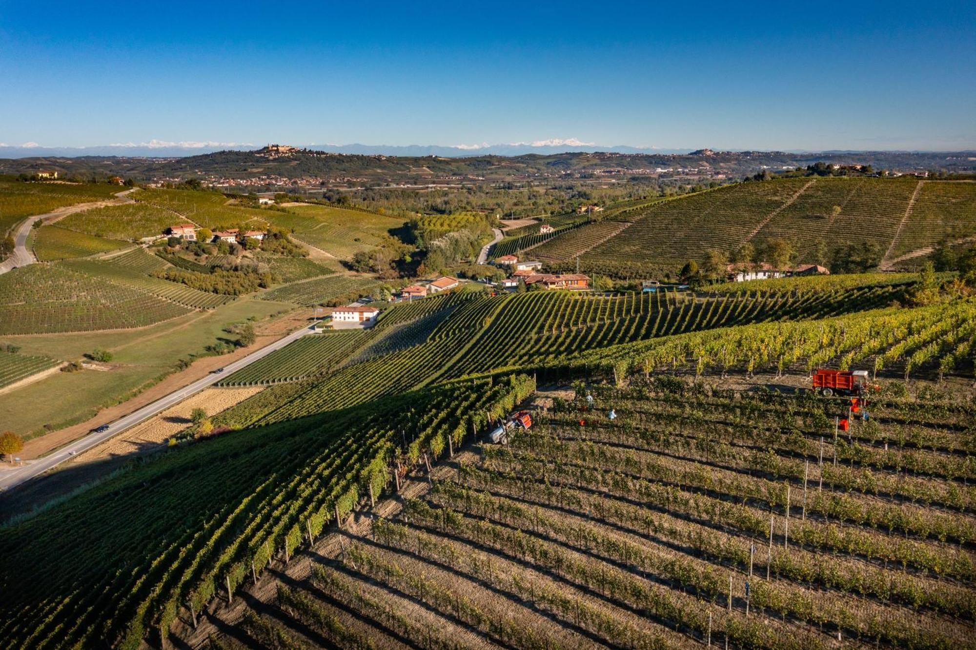 Agriturismo Antichi Poderi Gallina Neive Ngoại thất bức ảnh